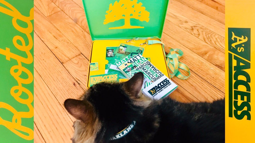 AsRallyCat's tweet photo. WOW!!! @Athletics really outdid themselves this year!!!

The #Oakland tin is a beauty!!! The tickets are #elephantastic, the pins are purrfect, and the #AsAccess cards/holder/lanyard are totally #haasome!!!! 😻😻😻

Thanks @DaveKaval!!!!

#RootedInOakland https://t.co/RcuKIRJFFo
