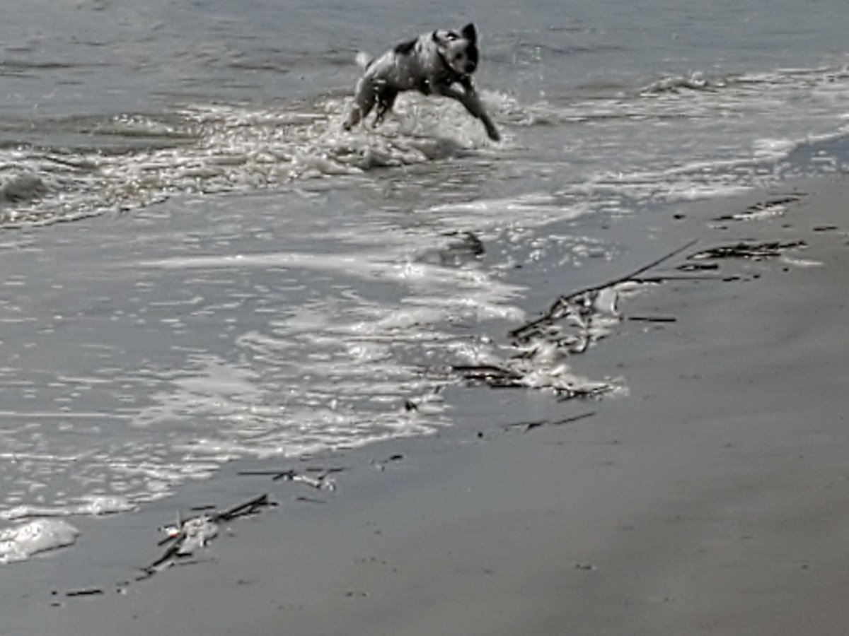 estrievie's tweet photo. Loving #caliboguesound https://t.co/iJQWyRBr6Z