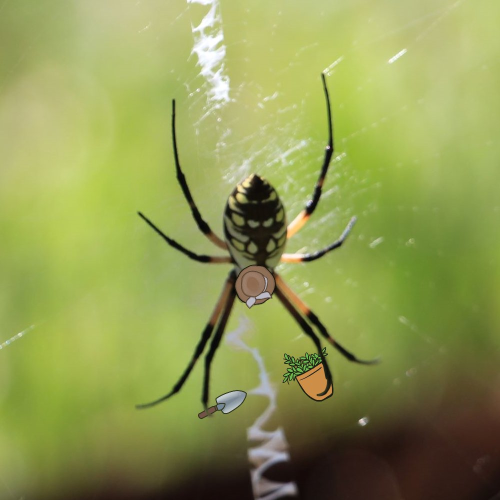 This week in #SpidersInHats, I bring you an itty bitty gardener who has some transplanting to do! Special thank you to Fran who sent me her lovely orb weaver photo! It was a little tricky to do a top-down view, but I'm prepared for all challenges involving #SpidersInHats.