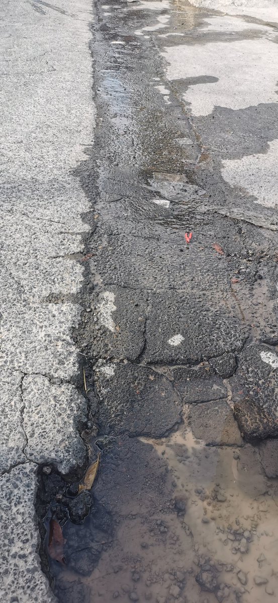 pattylicius's tweet photo. @TlalpanVecinos hay una fuga de agua aquí en Lomas de Padierna entre calle tecax y calle popolnah enfrente de la clínica de odontología de la UNAM. https://t.co/SSmxrpg7tk