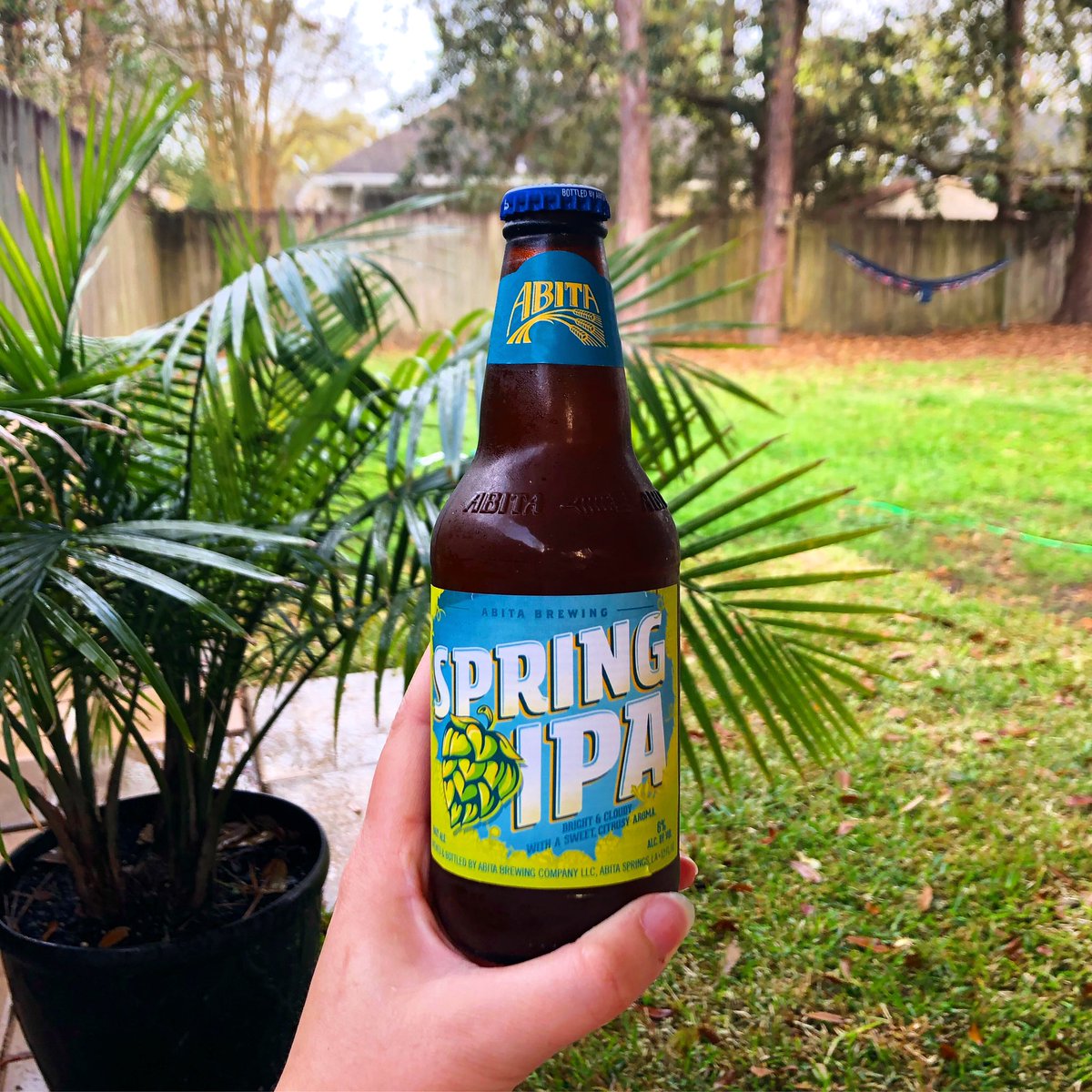 TheAbitaBeer's tweet photo. #Spring is in the air down here in #Louisiana 🌿
#abitabeer #abitabrewery #abita #springipa #louisiana #cultureontap https://t.co/liIDy3YOzE