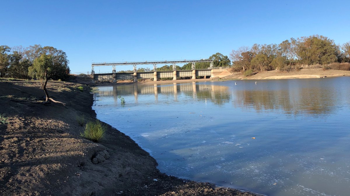 Myles Burt tweet media