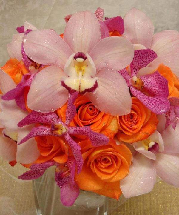 Beogrademoj_'s tweet photo. @Risum_teneatis Srećan rodjendan , sve najbolje .❤😘🍀⚘🍀🍾🥂 https://t.co/hzehIqKBlQ