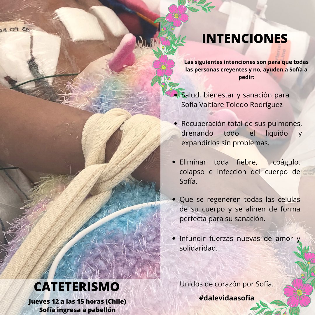 DALEVIDAASOFIA's tweet photo. .
.
.
#sofiaeresluzyvida
#dalevidaasofia 
#unidosenoracionporsofiatoledo https://t.co/ydeQWift9h