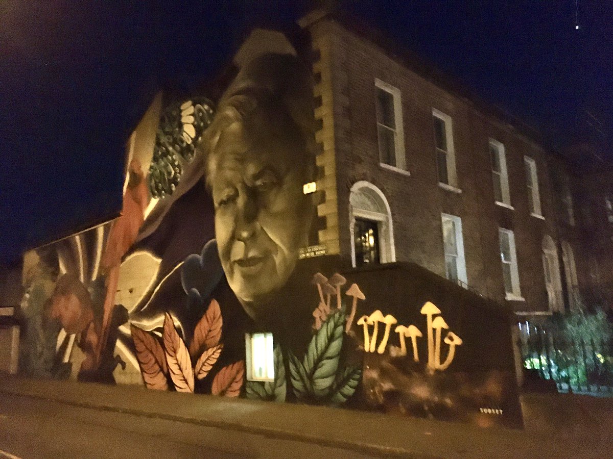 Jeanette_Lowe's tweet image. With so much nasty stuff around at the moment why would @DubCityCouncil not just leave this beautiful, well ventilated piece of art alone for us to enjoy #subset @thejournal_ie #DavidAttenborough #dublin