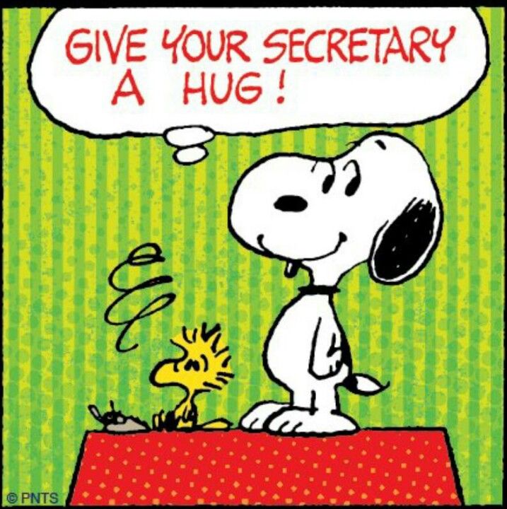 365_WISE's tweet photo. Shout out 2 secretaries/admin. assistants/clerks. You've successfully kept a poker face after knowing your boss may be a dirt-bag, held co records/vital info/history- been the underwriter/ ghostwriter/copywriter/schedule keeper/secret keeper, etc. I applaud you 🙌🏾 #nondisclosure https://t.co/Cj4UqUJnDB