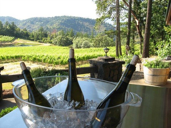 Enjoy the wines from mountain wineries and vineyards when you visit the #NapaValley. Find out more here: bit.ly/2mEPDW1

Talk to a Napa Valley Wine Tour concierge on (800) 387-2328 or start building your tour online here: bit.ly/BWTReserve

#WineWednesday
