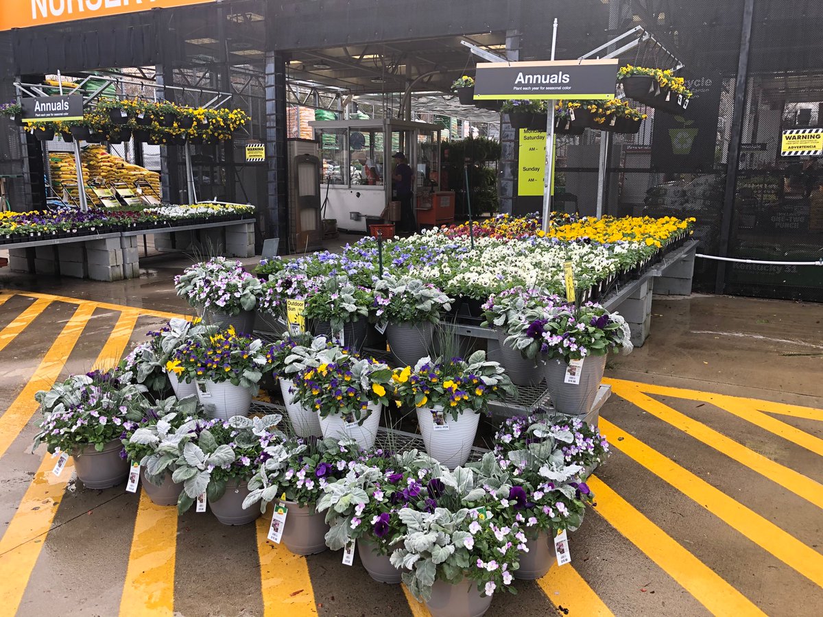 BellNursery's tweet photo. Home Depot 3646 Charlotte NC booming with color! @Pat_Fischetti @brettguthrie8 @brianfrombell https://t.co/8gWC3y6mc1