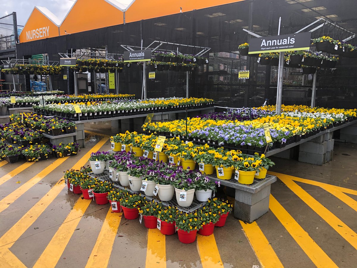 BellNursery's tweet photo. Home Depot 3646 Charlotte NC booming with color! @Pat_Fischetti @brettguthrie8 @brianfrombell https://t.co/8gWC3y6mc1