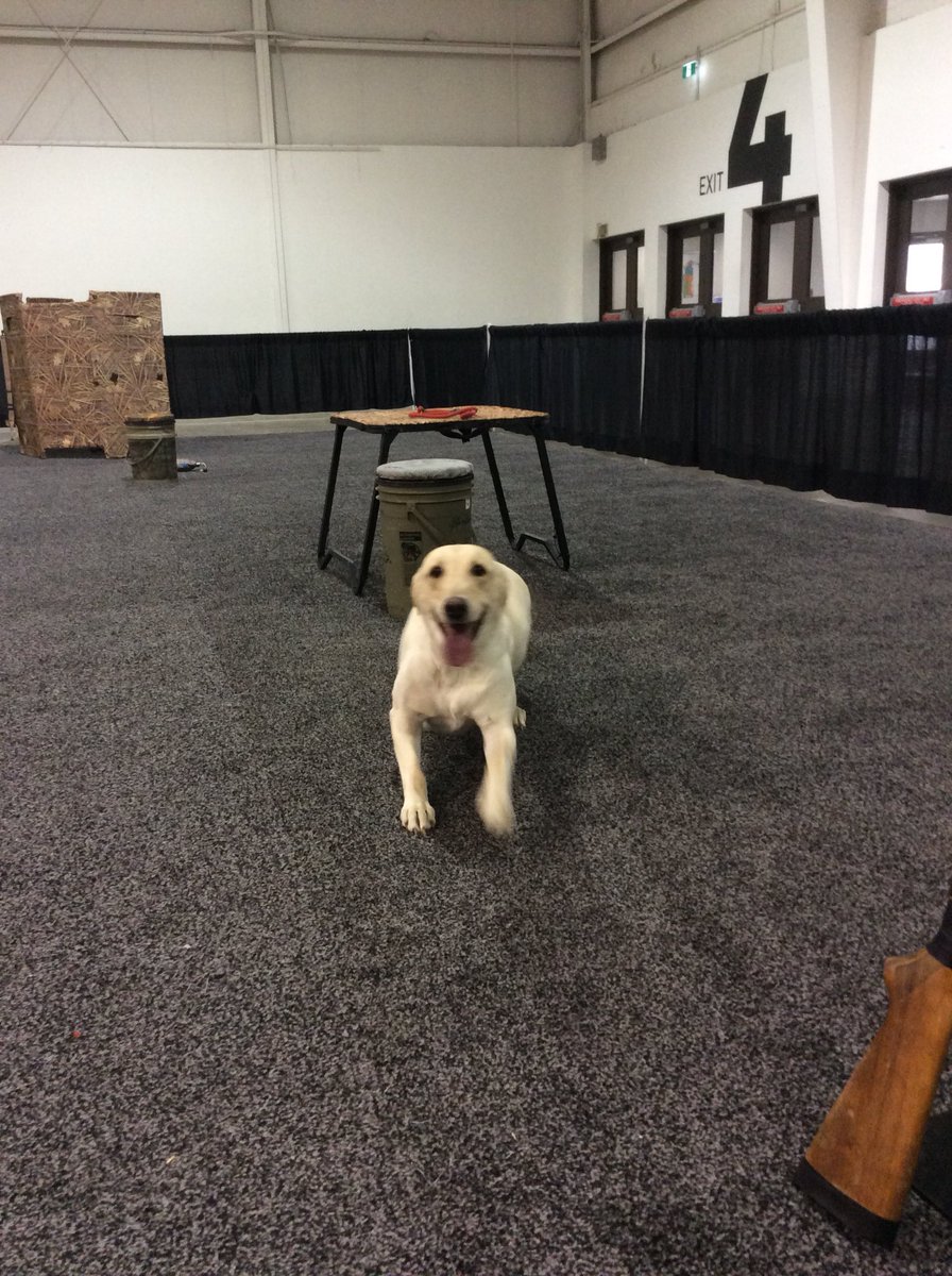 MarshHrc's tweet photo. A week to go until the Sportsmen show @sportsmenshowTO . Here are some pics to remind you of the fun we had last year https://t.co/BQcFnxkdIU