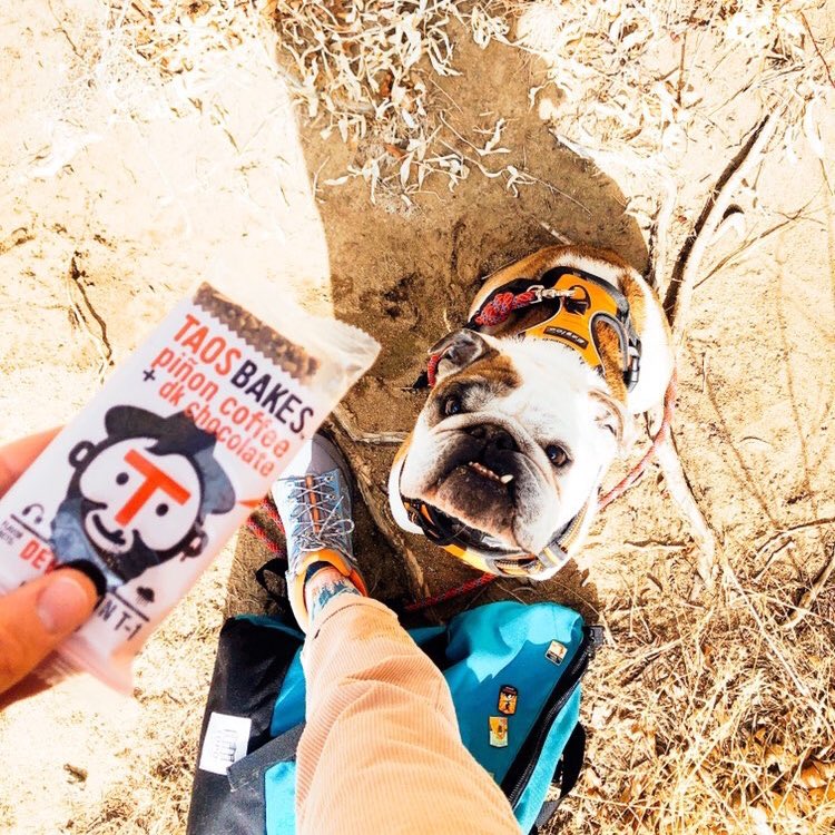 This face makes it so hard not to share ❤️

Happy #humpday everyone! 

(📸 by <a href="/oksanyta/">oksanyta</a>)