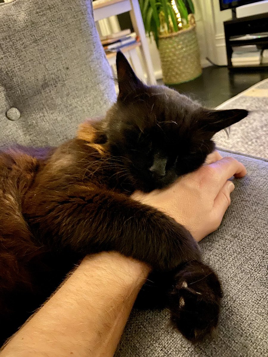 mattflyer's tweet photo. @rickygervais Oh Ollie... Fuck. I can’t even imagine. Holding Max that little bit closer this evening https://t.co/FEhFsuImFx