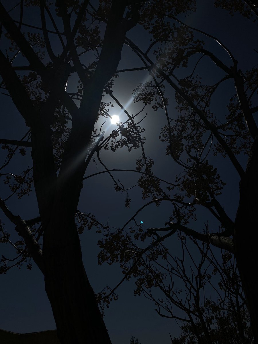 "الليل لا يكفي لمحاولات النوم ..