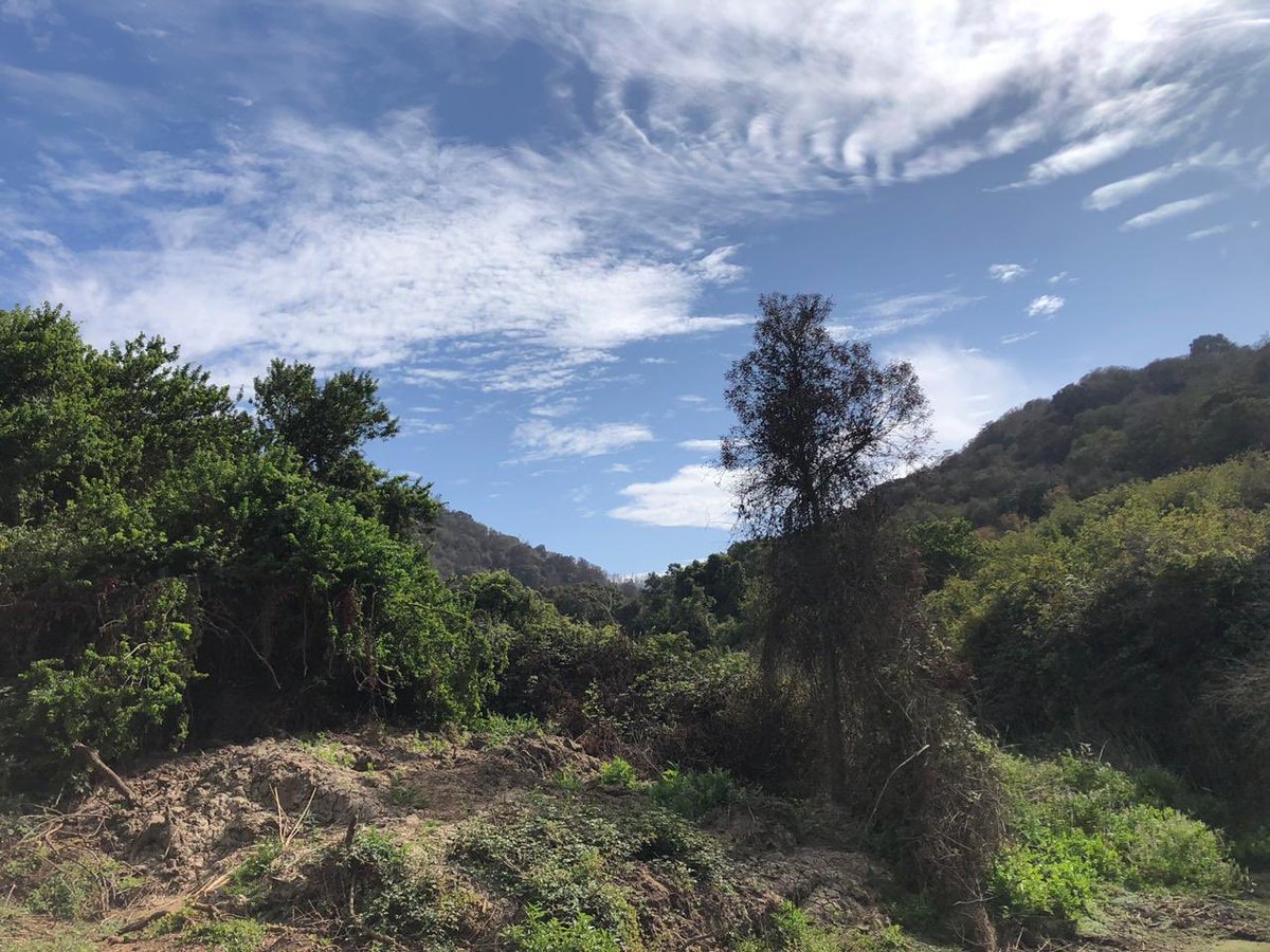 museosanantonio's tweet image. Hoy el MUSA con CODESA para ver en terreno posibles avances del Parque de la Naturaleza El Piñeo