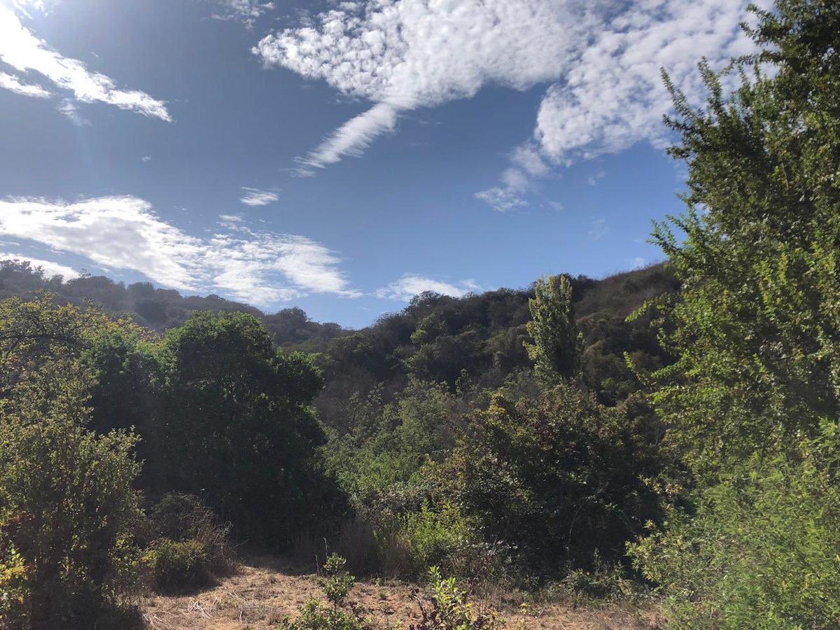 museosanantonio's tweet image. Hoy el MUSA con CODESA para ver en terreno posibles avances del Parque de la Naturaleza El Piñeo