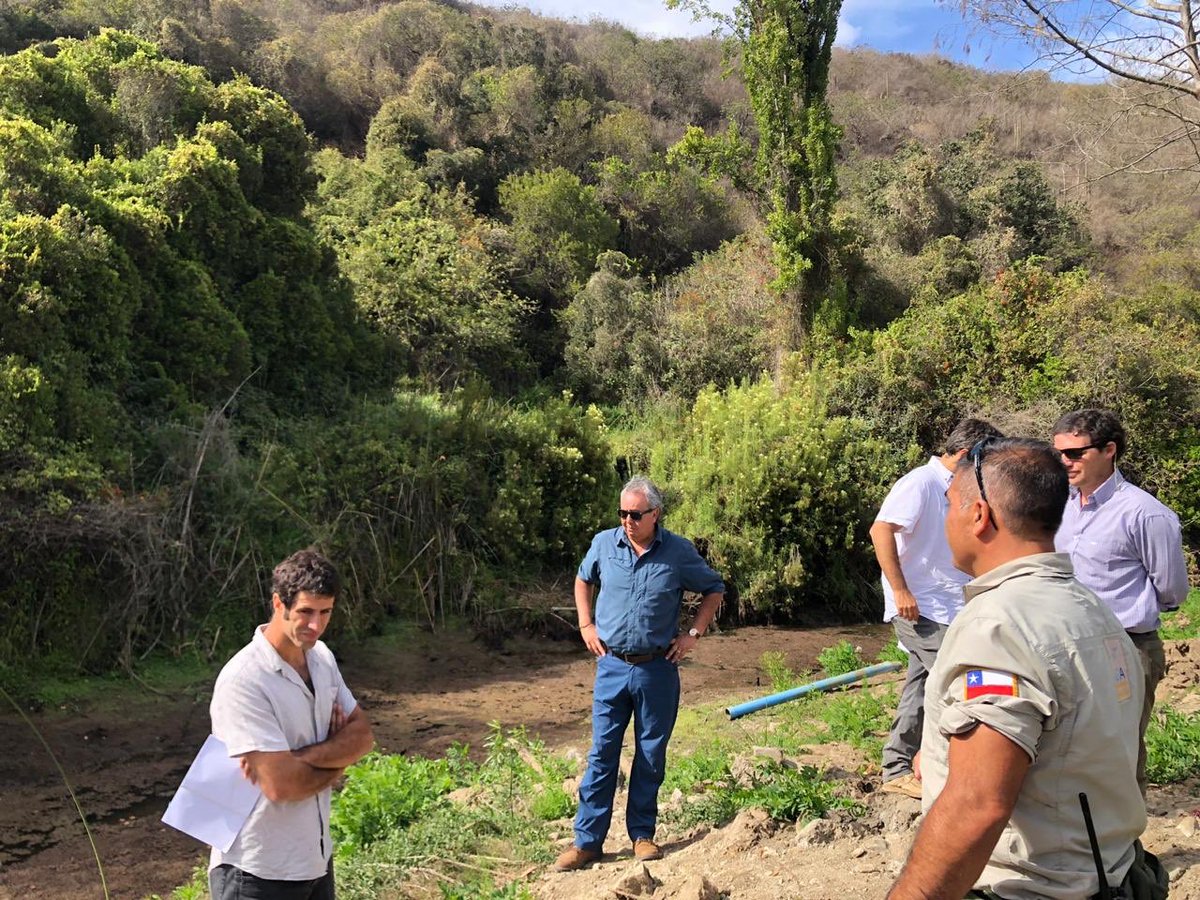 museosanantonio's tweet image. Hoy el MUSA con CODESA para ver en terreno posibles avances del Parque de la Naturaleza El Piñeo