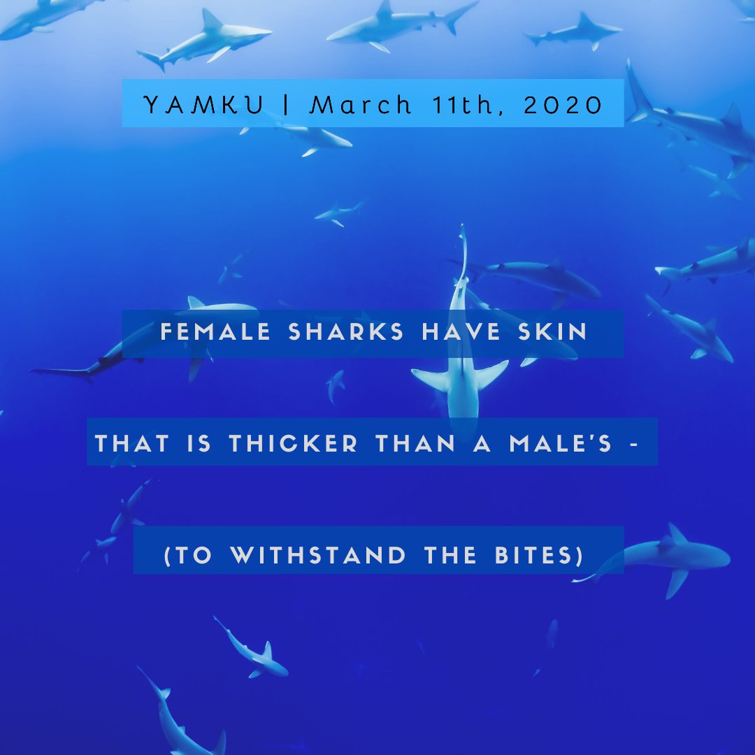 JennWisdom's tweet image. #sciencefacts #sharks #matingbehavior #femalehumanstendtohavethickerskintoo #evolutionaryresponse #haiku #poetry #dailyhaiku #yamhaiku #photooftheday