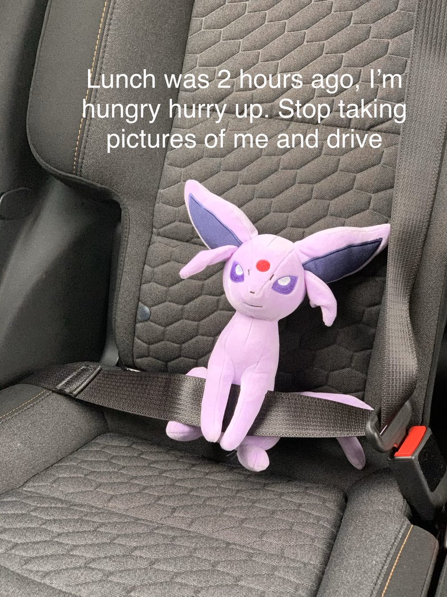 PokemonPlushie's tweet photo. Late for lunch #espeon was not happy Watch our own Kadie-Mon open Pokémon Cards #pokemoncards on YouTube https://t.co/almFzp890U  @pokemon @pokemon_jpn @pokemonufficiale #pokemon #pokémon #pokemonshiny #pokemonphotography #pokemontradingcardgame #pokemonsword #pokemonsun https://t.co/cVoOSMWWvH