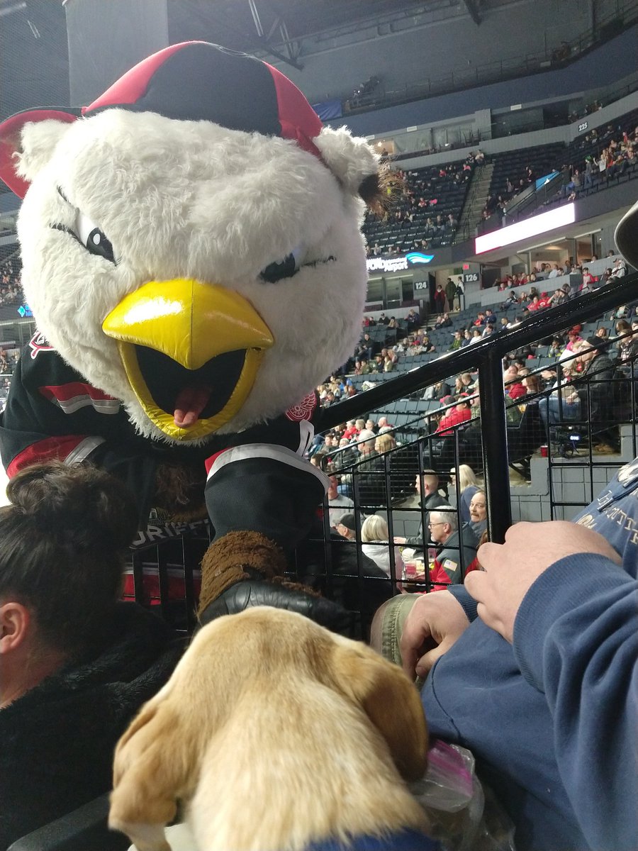 longleaf616's tweet photo. John's night has been made...he saw his favorite @griffinshockey Finn...
#journeysofjohn #gogrg #hockeydog #mascotlove #finn https://t.co/pQZZ8UDNuw