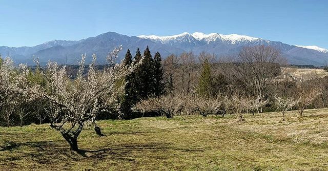 #spring #japan ift.tt/3aFtYlI