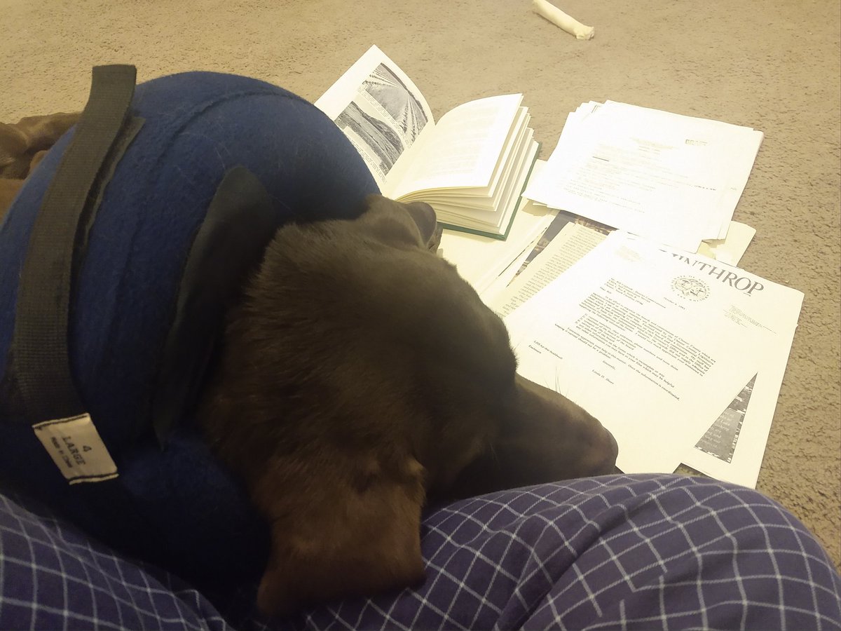 ConDistForester's tweet photo. So this is how I prep for speeches #timberdog https://t.co/wmyTwWmvl2