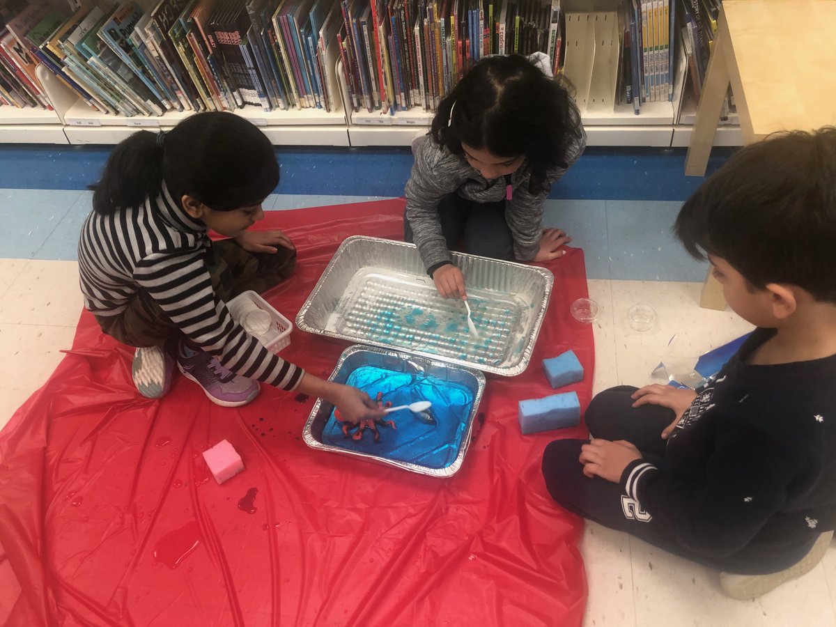 3ASuperstars's tweet photo. Global Goal #14lifebelowwater #teachsdgs Gr. 3's learn about impact of oil spills and test solutions for containment and clean up. messy hands and busy brains @Briarwood_Buzz @DVanHooydonk https://t.co/ZBl0wqLnfk