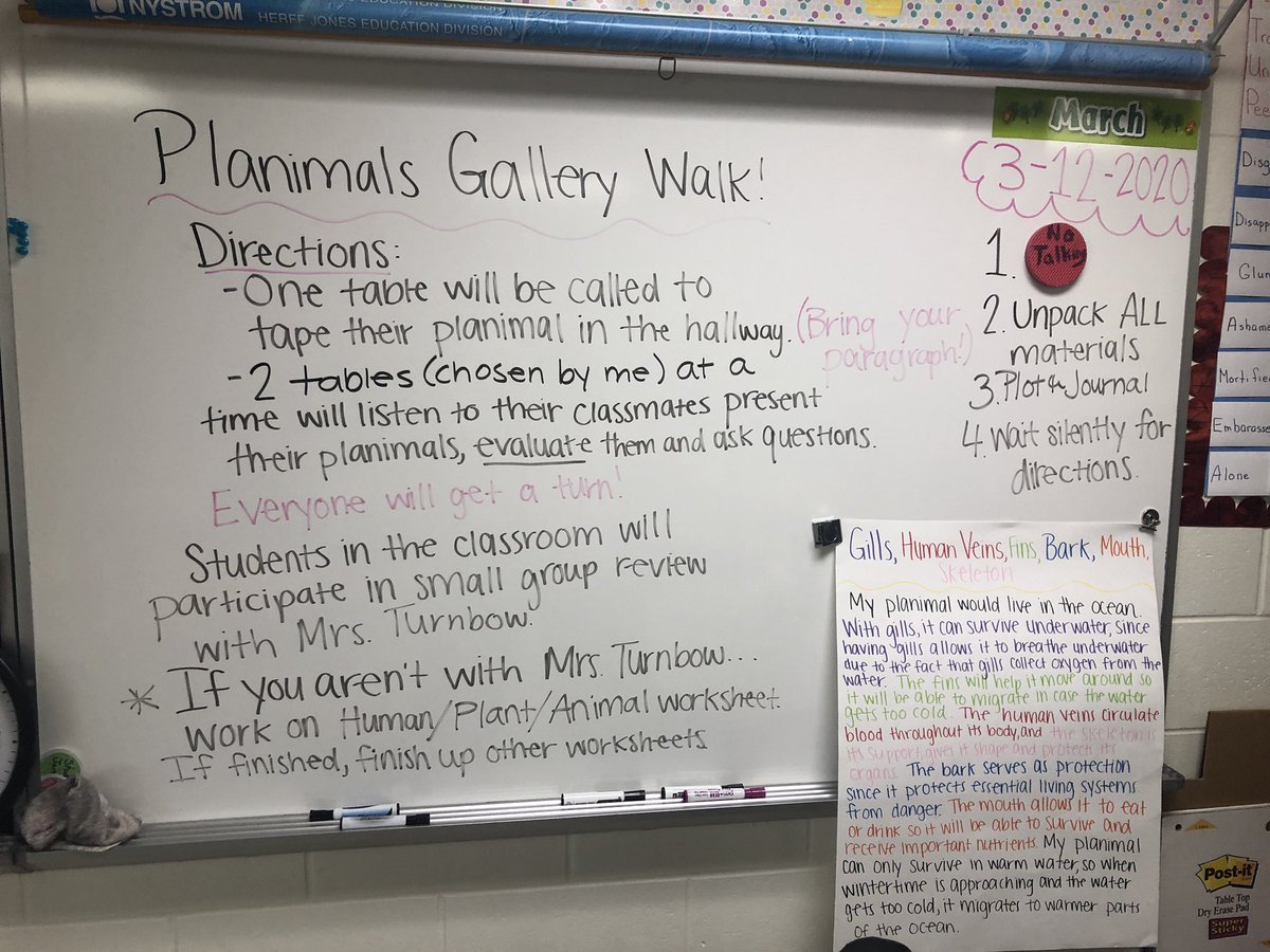 CampeseMadison's tweet photo. The kiddos were putting their finishing touches on their planimals today preparing for our first ever gallery walk tomorrow! I can’t wait to see all of the amazing work they’ve done and hear all about their planimal’s organs and environments 🌳🦓 https://t.co/PlsvvC5wLM