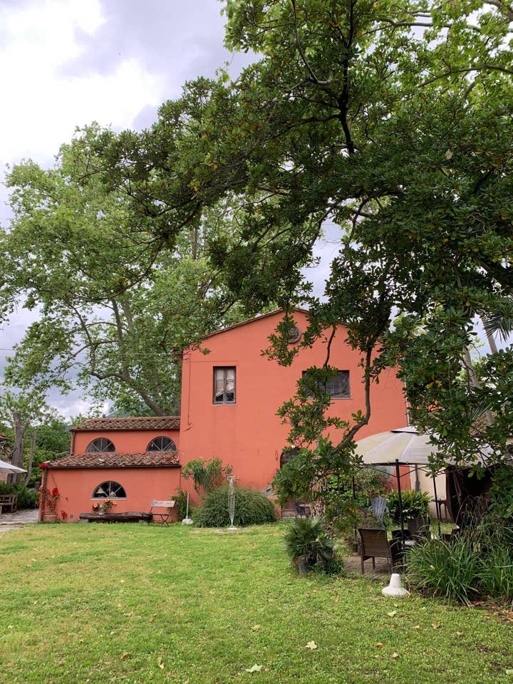 StayAltido tweet media