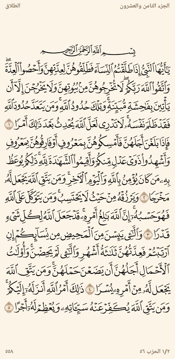 المُصْحَف tweet media
