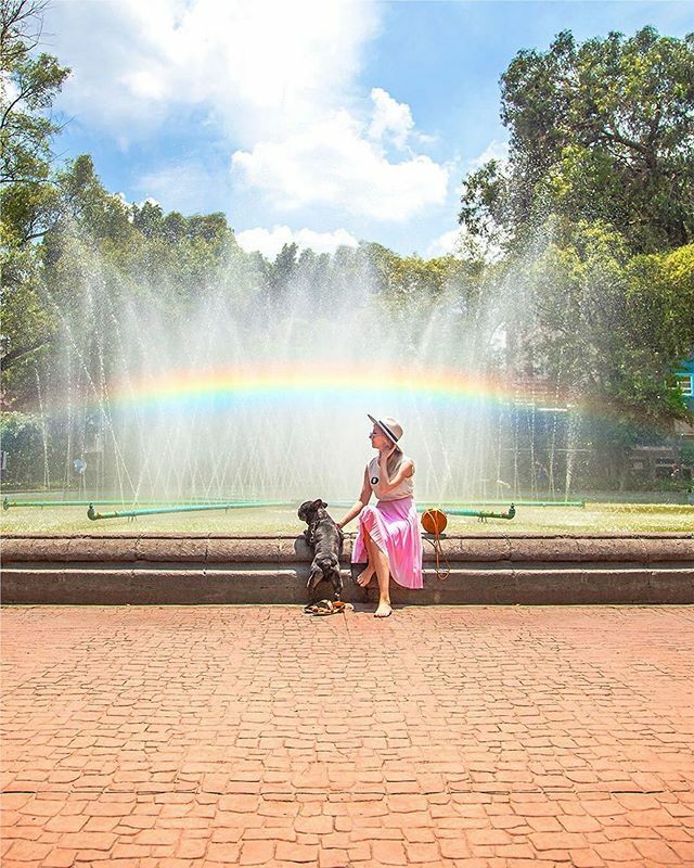 📷 @virroylola *Rainbows everywhere*
.
.
Se acaba el #pridemonth y seguimos viendo 🌈 por todos lados! Han visto este en la fuente de la plaza Luis Cabrera?
.
.
#rainbow #laromamx #coloniaroma #plazaluiscabrera #ciudadarcoiris #ilovemydog #mexico #mexi… ift.tt/2W4zR7V