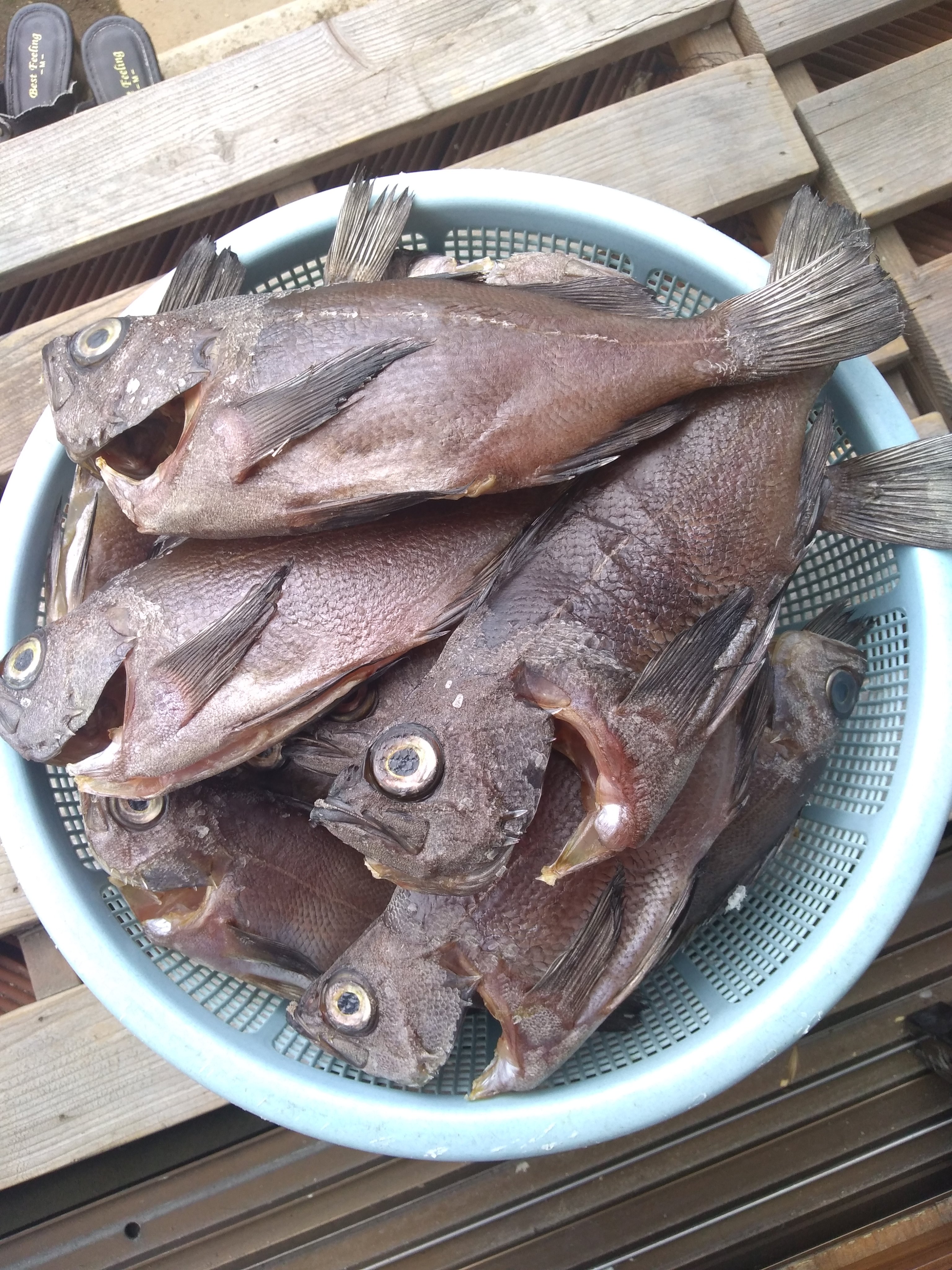 釣りバカ仙台 Turibakasendai Twitter