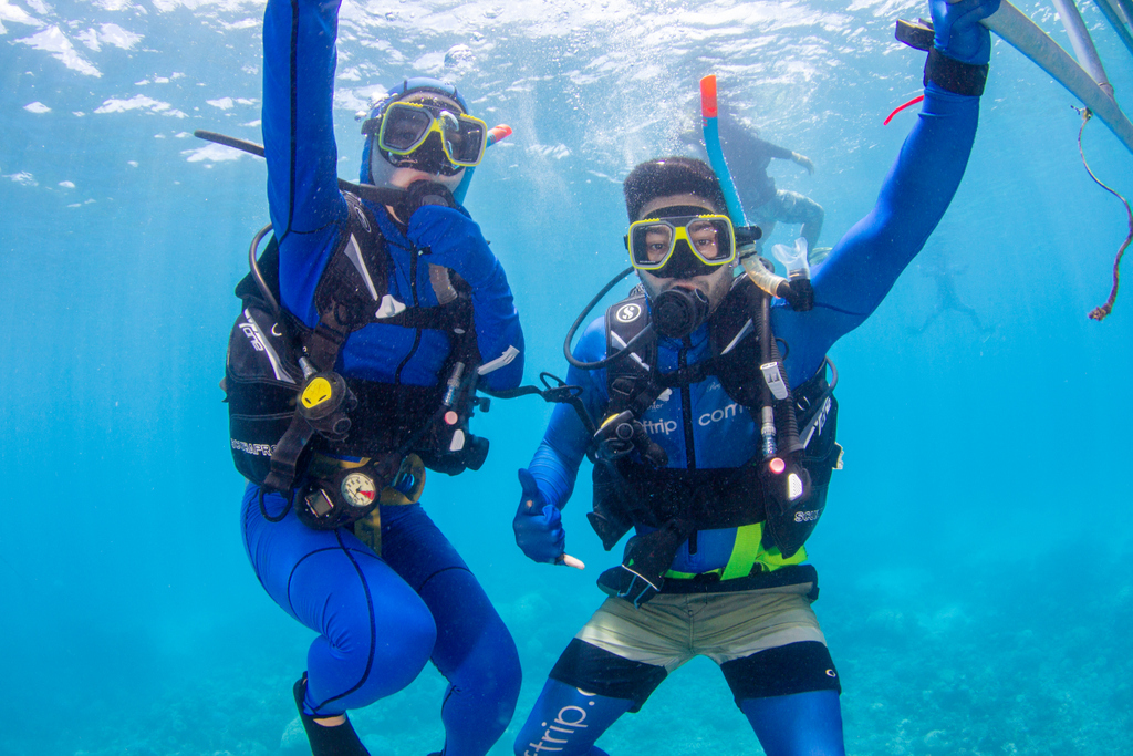 compasscruises's tweet photo. Come and hang out with us down below, and experience scuba diving for the first time. 

Find out more at https://t.co/3YQ8OdWfXa https://t.co/3BJJ3AI1Jb