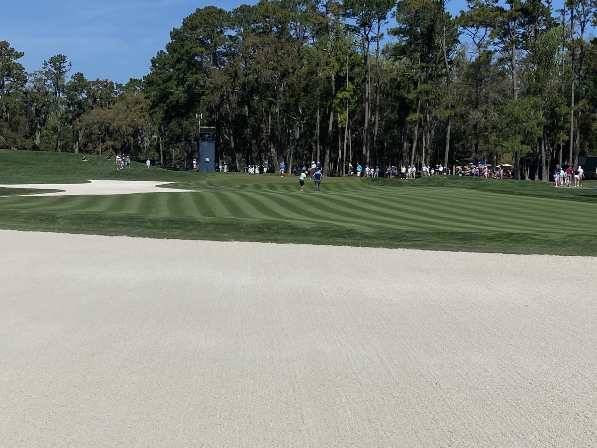 Buck Workman tweet media