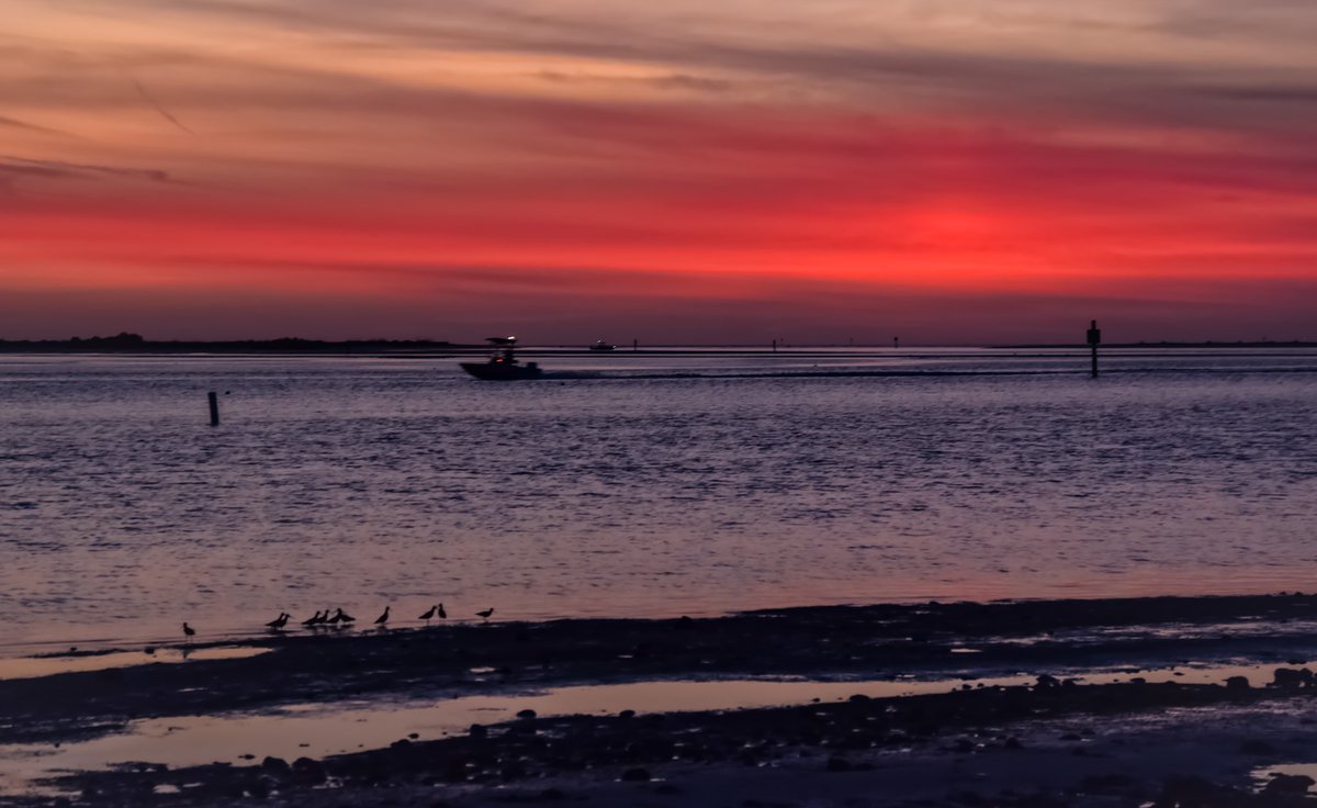 FloridianCreat1's tweet photo. Tonight’s Floridian Sunset ✌🏼🌞✌🏼 @StormHour @RealSaltLife @ThePhotoHour 🖖🏼🌞🖖🏼 https://t.co/CUk1zqOX0w