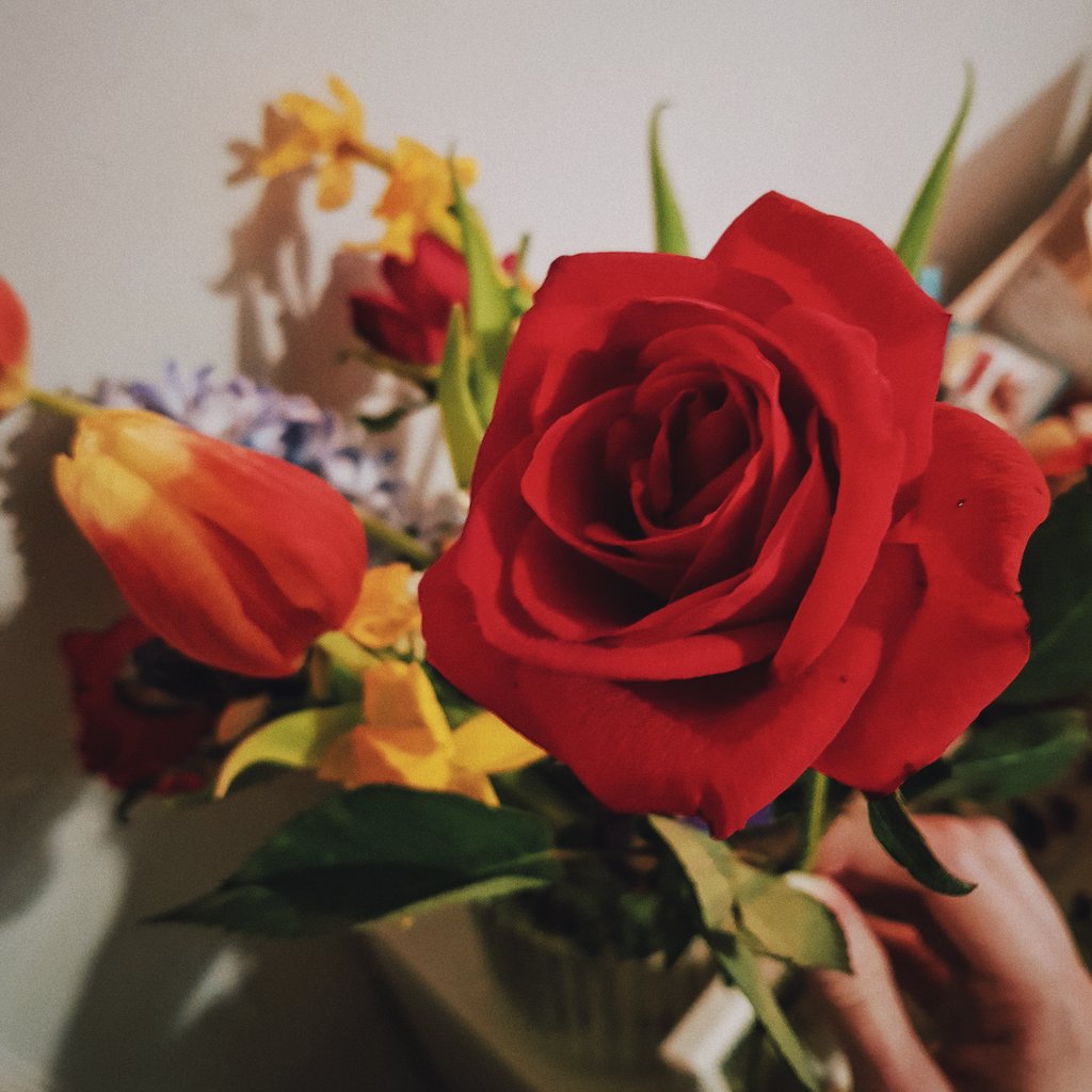 11.3.2020Three ok things:• one of the roses from the bouquet I posted last week has bloomed into the most perfect rose ever • I'm decorating/repurposing a shoebox to keep all my letter-related bits and bobs in • I'm practicing a bit of embroidery (badly, lol) 