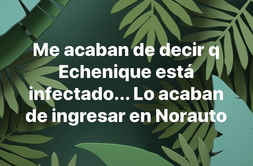 MRioja21's tweet photo. @ivanedlm @pnique https://t.co/yMnYyb46RH