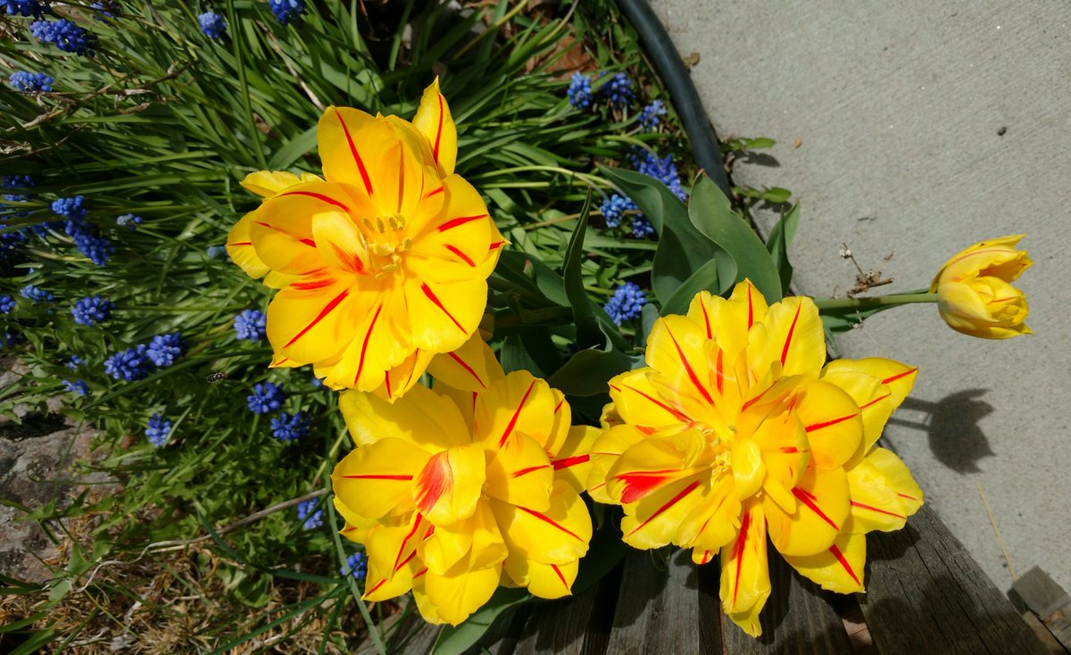 Jewelrymaker12's tweet image. Thanks for the retweets! ♥ #etsyteamunity #kisteam