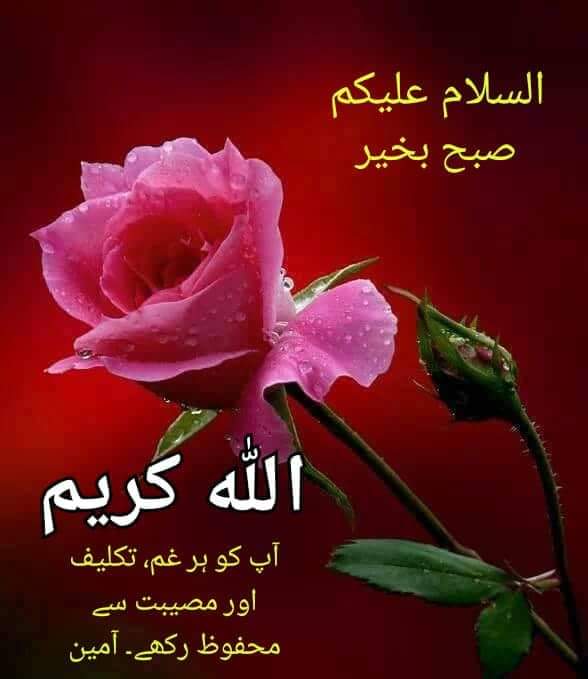 Top_NewsBkr's tweet photo. #السَّلاَمُ_عَلَيكُم_____£
اگر کسی کے دل کی خوشی آپ سے وابستہ ہے                                                                                                 تو یقین کیجئے آپ کا وجود قابلِ رشک ہے
⭐صبـح بخیـر زنـدگی⭐ https://t.co/LbmneMih66
