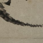 main image of this resource