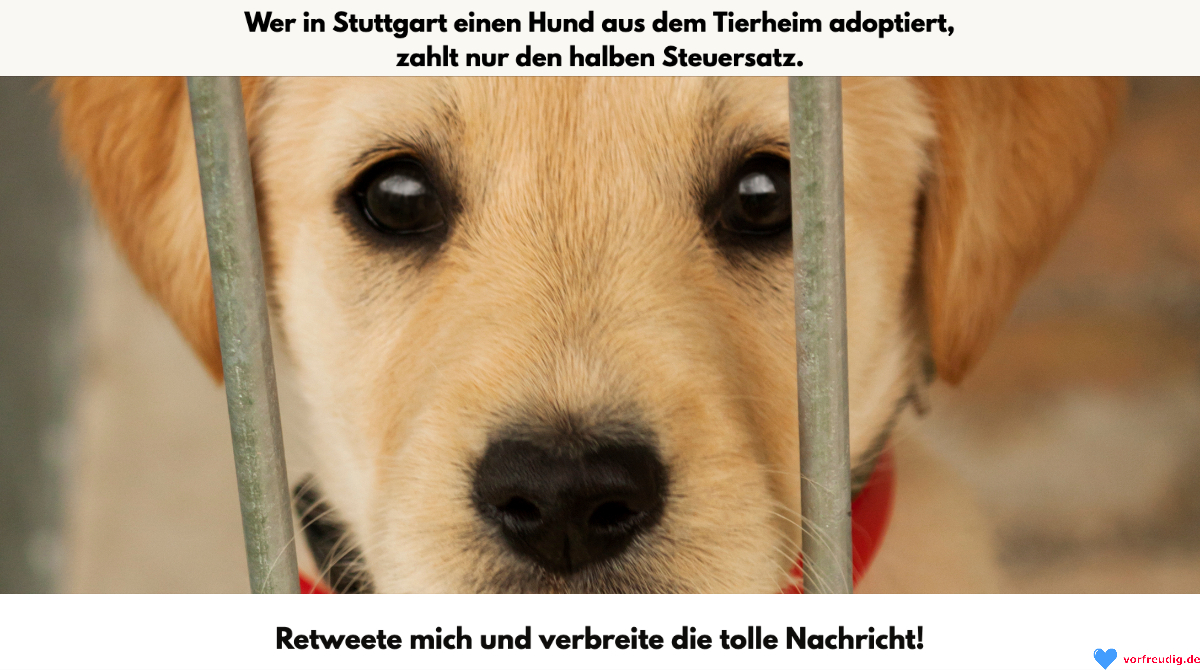 VorfreudigDe's tweet photo. Freund.
Bester Freund.
Hund!
🐶🐶🐶
Retweete diesen Beitrag, um die Nachricht zu verbreiten. Vielleicht schaffen wir es gemeinsam, dass es überall so gemacht wird!
🐶🐶🐶
#vorfreudig #gutenachrichten#goodnews #hunde #strassenhunde #streuner #adoptdontshop #tierheim #tierheimhund https://t.co/LL86HFdsai