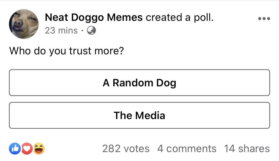 emmababic's tweet photo. Facebook is currently an echo chamber of media scrutiny. Even dog meme pages are having a crack 😂 https://t.co/71zyEfxXHA
