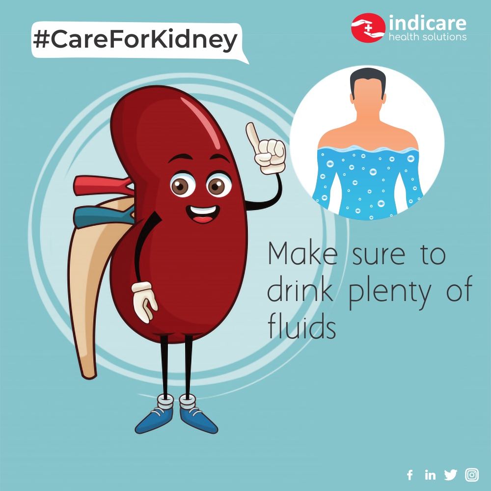 indi_hs's tweet photo. Take a pledge to avoid habits that can cause damage to your #kidneys because they are helpful in removing waste products and excess fluid from the body.
#WorldKidneyDay #IndicareHealthSolutions #12March #AvoidBadHabits #TakeCareOfKidney #KidneyCare #HealthyKidney https://t.co/9DJqmO9N7S