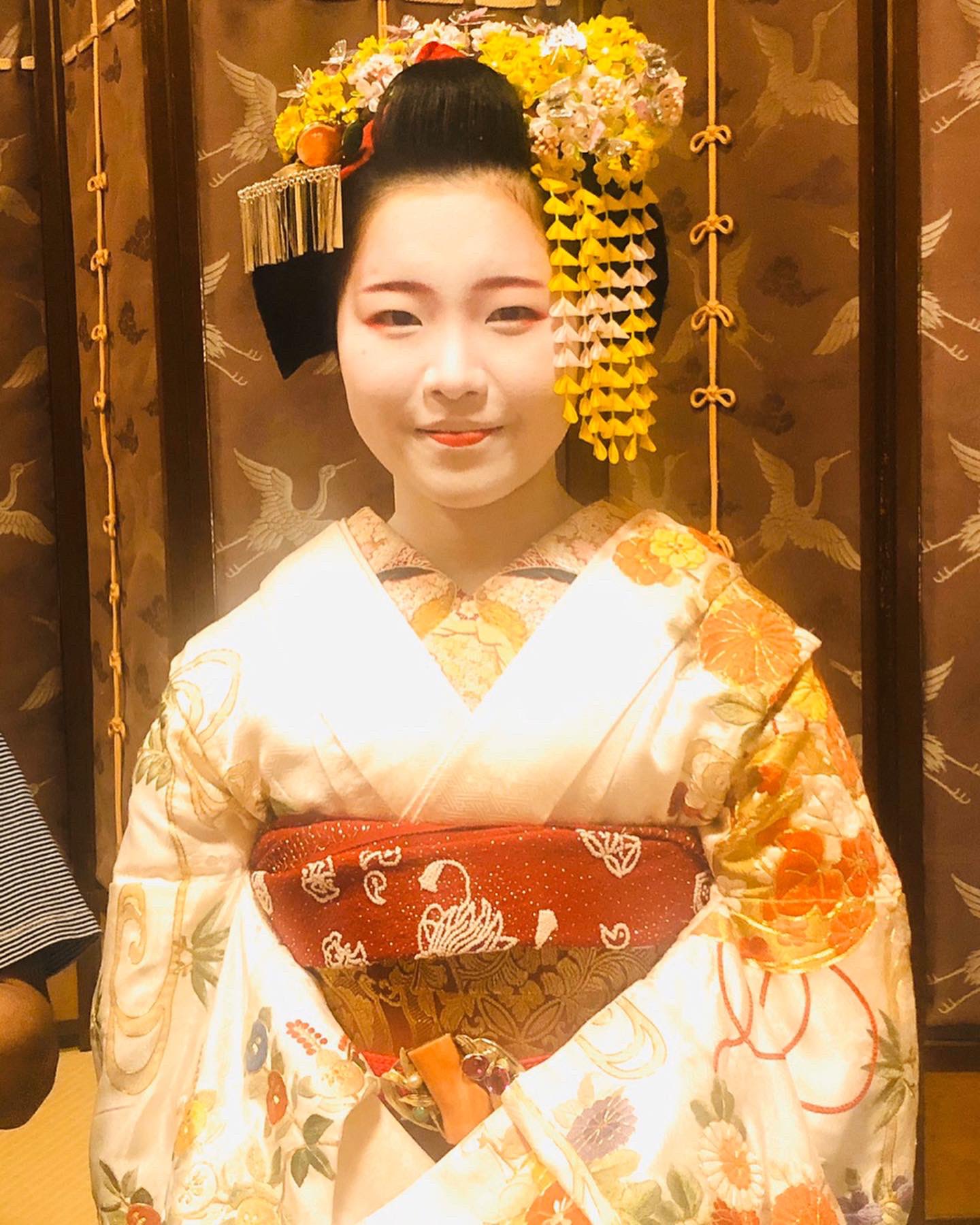 五花街芸舞妓撮影会 on X: 