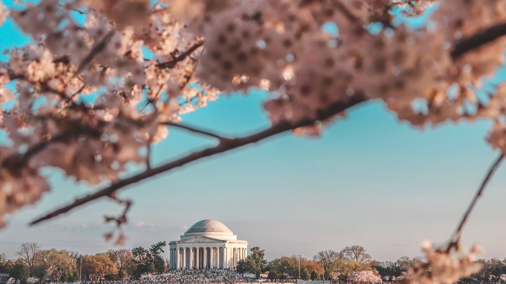 Usher in the spring with a family vacation to #DC! Get a "suite" deal on upgrading to more space. More fun, more great memories in the nation's capital. #family #travel #vacation
bit.ly/2WcyP6r