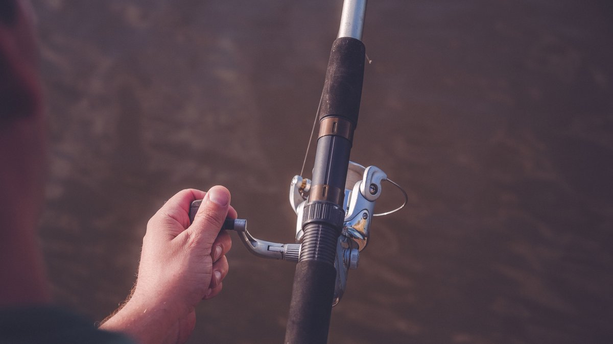 ResInnHartford's tweet photo. Do you have your tickets yet for the North East Fishing and Hunting Show? Don't miss this #fishing and #hunting expo at the @ctconventionctr in #HartfordCT 3/20-3/22!

https://t.co/A8l30afHLD https://t.co/wh2yYUKLXE