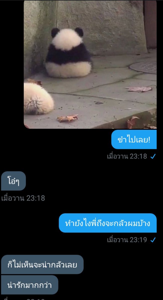 แอคขิงคนแก่ //ฟอลติดลิมิตครับ tweet media