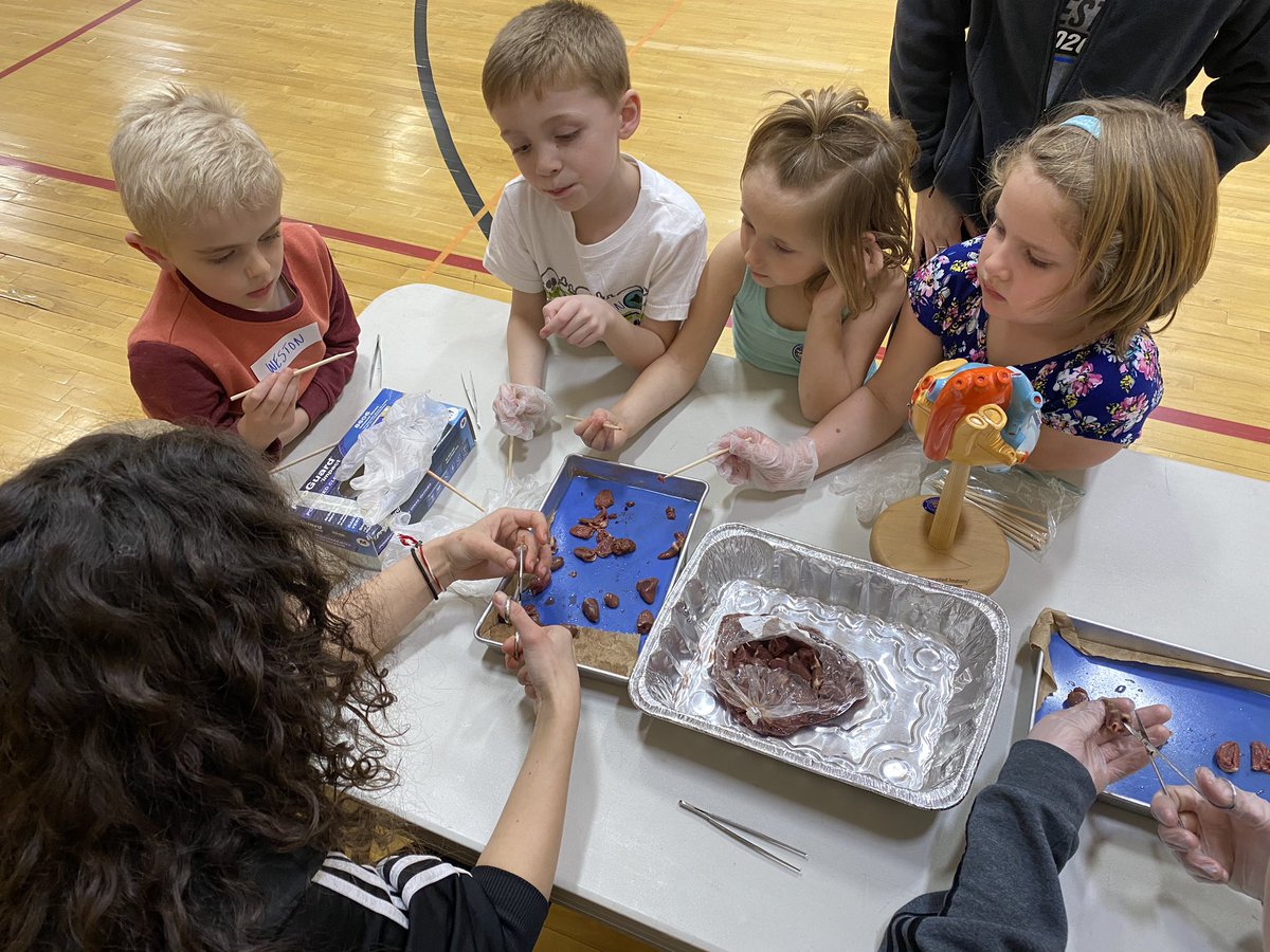 stacey_rector's tweet photo. Kids Science Day March 2020!!! Exploring the HEART. Thanks to Mrs. Imhoff for the chicken hearts.#mepoclassroom https://t.co/HU78UjU0qb