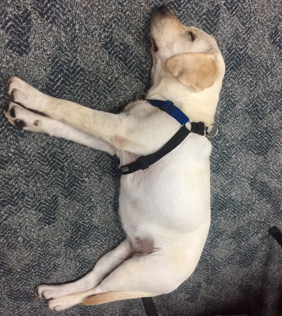 Scott Brown tweet media