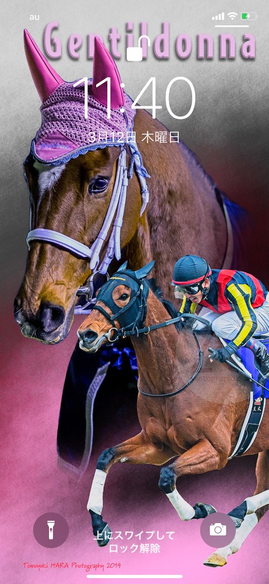 ウマノチ 血統 競馬予想 平場 Umanochi4474 Twitter ウマノチ 血統 競馬予想 平場 Umanochi4474 Twitter