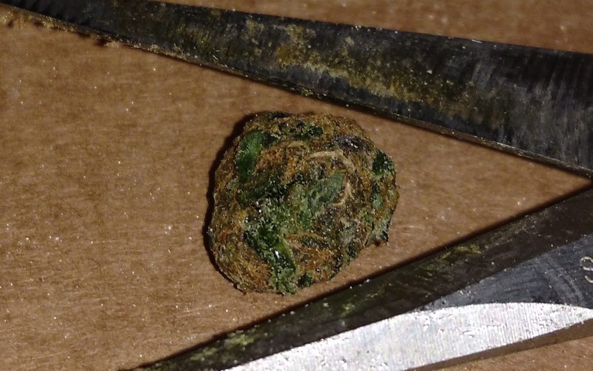 TempleGrower's tweet photo. @Cameron43569838 @Shuk_It_Trebek @HonieeBean Voila! #ScissorHash #FingerHash https://t.co/anAtEjfxHQ